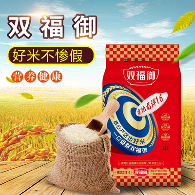 寒地龙洋16