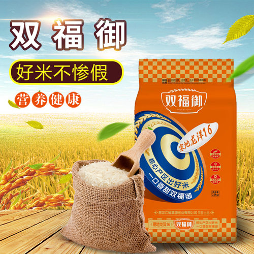 寒地龙洋16